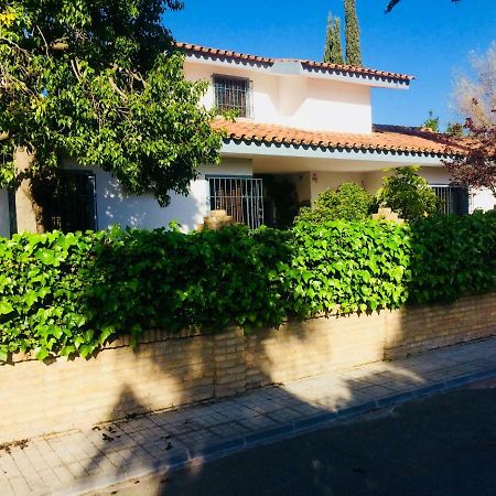 Villa Ferrer Sevilla Хинес Экстерьер фото