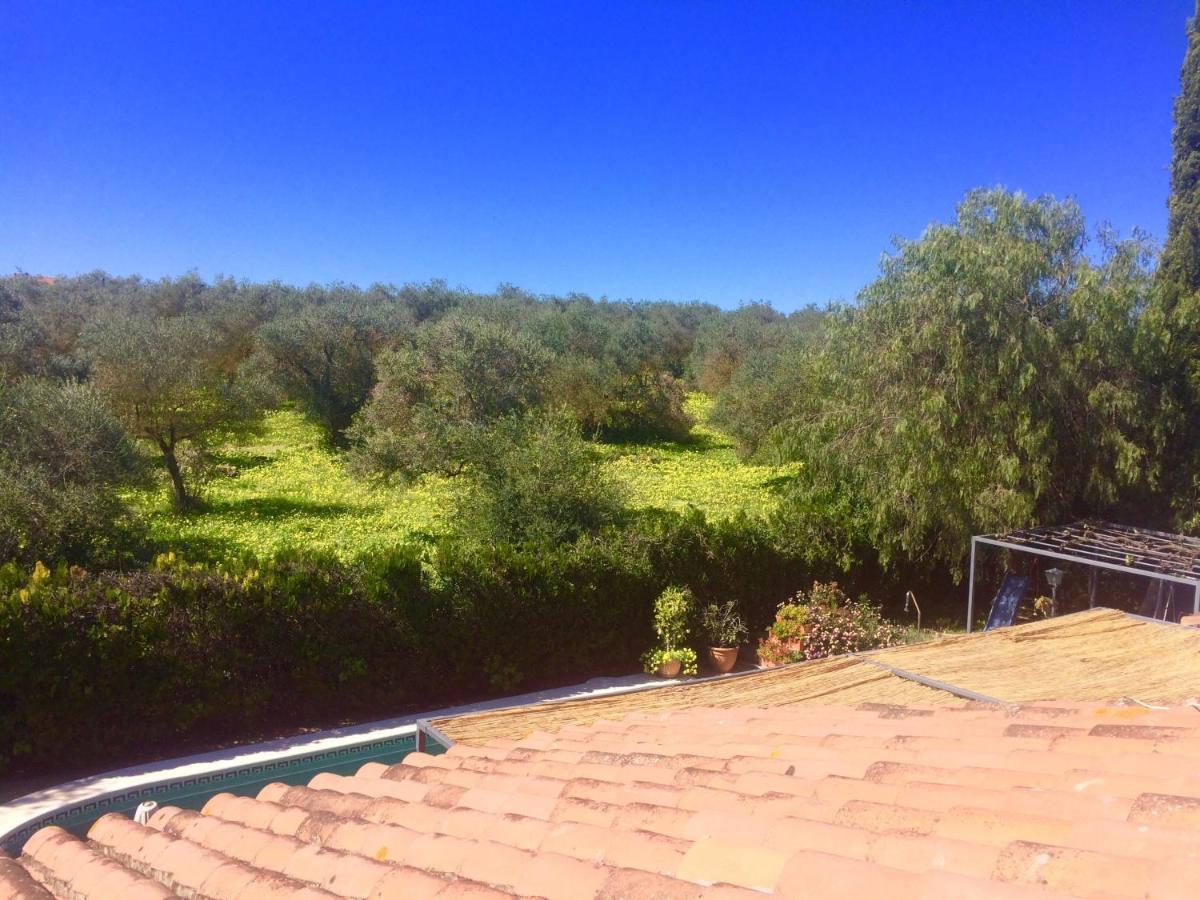 Villa Ferrer Sevilla Хинес Экстерьер фото