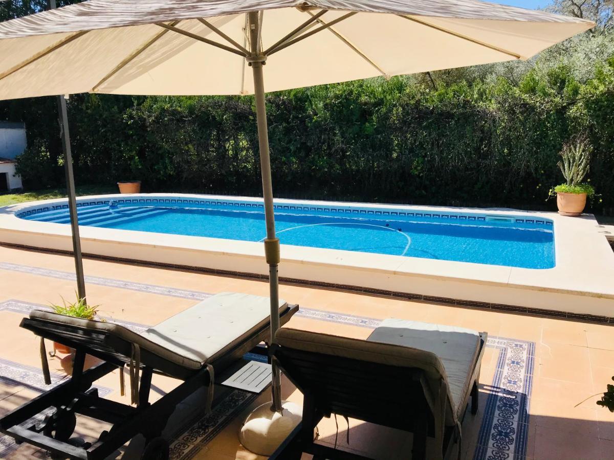 Villa Ferrer Sevilla Хинес Экстерьер фото