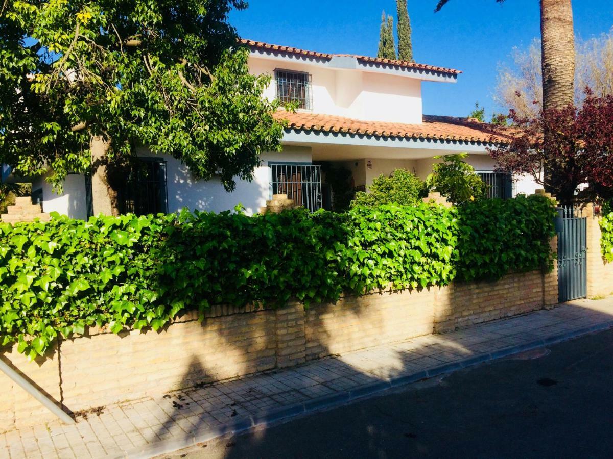 Villa Ferrer Sevilla Хинес Экстерьер фото