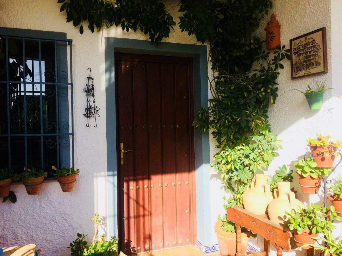 Villa Ferrer Sevilla Хинес Экстерьер фото